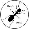 Alex's Ants